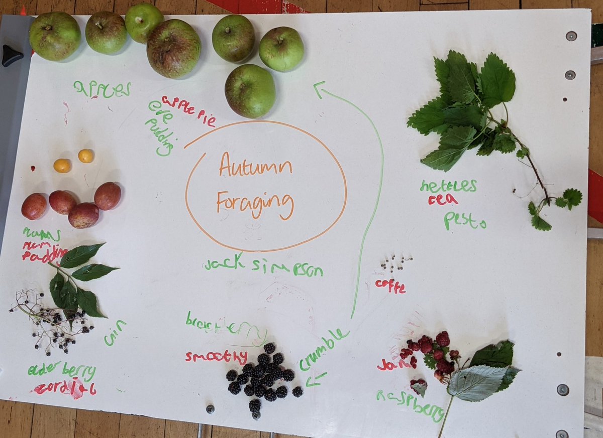 SportAtKGS's tweet photo. Outdoor learning took us out and about in Keith today to enjoy the autumn sunshine and forage for some tasty wild food. #foraginginscotland #wildfood #outdoorlearning ☀️🍏 https://t.co/O45Zapq7nH