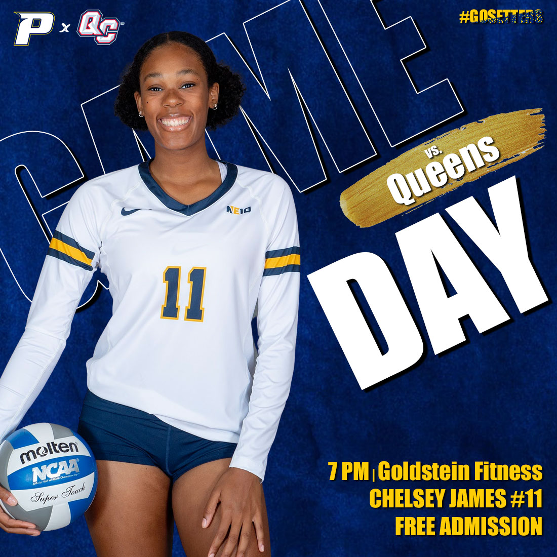📍 Pleasantville

<a href="/PaceVolleyball/">Pace Volleyball</a> makes their home debut tonight against Queens College!

WATCH: ne10now.tv/paceuathletics/