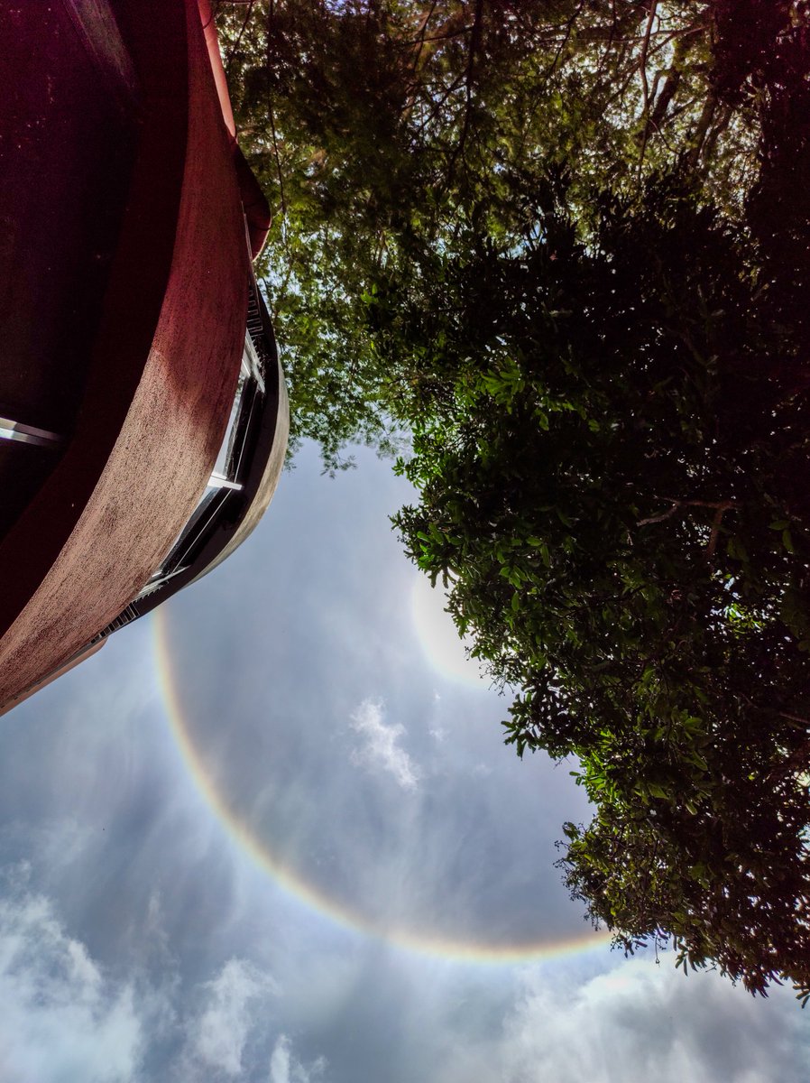 FMOcc_UES's tweet photo. 📅👀 | Este fenómeno fue visible por última vez el pasado 28 de junio de 2021 en diferentes puntos del departamento de Santa Ana.

📌 | #FMOccUES https://t.co/w8YwBeYqmT