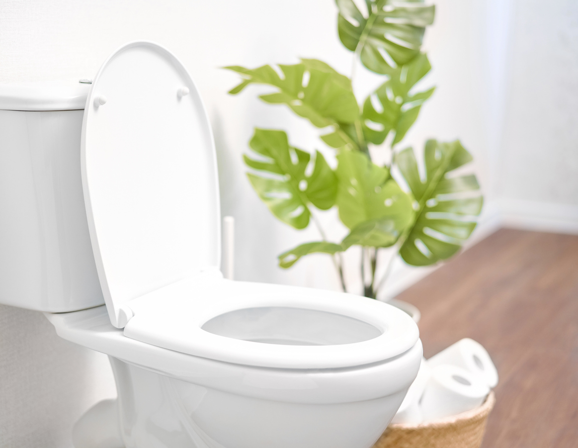 An easy way to help look after your septic tank is to make sure you don’t use your toilet like a trash can. Don’t flush things like dental floss, hair, diapers, or anything else besides toilet paper!