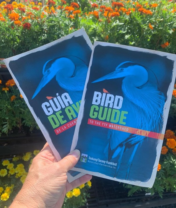 TTF Watershed (@ttfwatershed) on Twitter photo TTF Bird Walks are back! This Saturday at 8am, join <a href="/BRDPHL/">BirdPhilly</a> to explore birds of Tacony Creek Park. Need guidance for your own #birding in the park? Call us for free Bird Guides: 225-744-1853 or access them online in English/Spanish 🐦ow.ly/ytyi50KIiij
<a href="/PhilaParkandRec/">Philadelphia Parks & Recreation</a> TTF Bird Walks are back! This Saturday at 8am, join <a href="/BRDPHL/">BirdPhilly</a> to explore birds of Tacony Creek Park. Need guidance for your own #birding in the park? Call us for free Bird Guides: 225-744-1853 or access them online in English/Spanish 🐦ow.ly/ytyi50KIiij
<a href="/PhilaParkandRec/">Philadelphia Parks & Recreation</a>