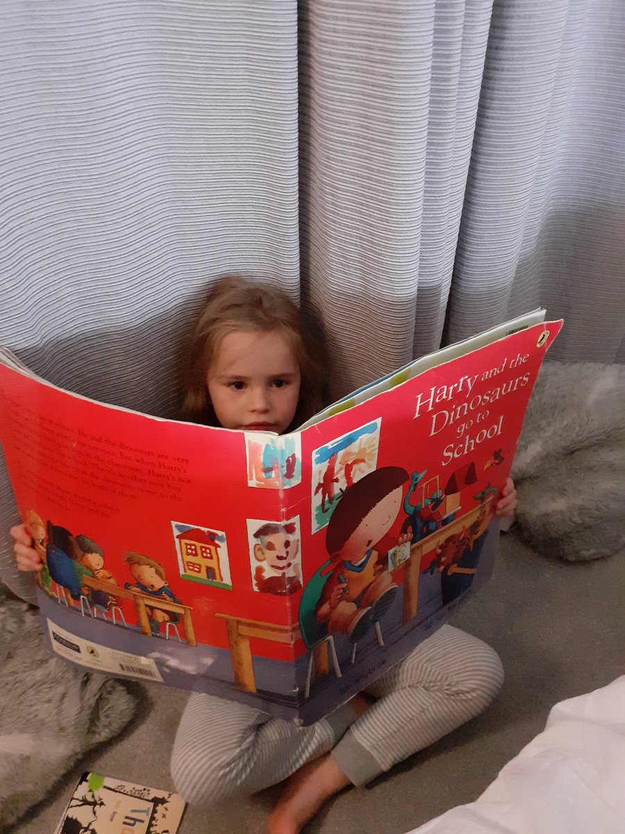 Discover_Ent's tweet photo. Bedtime reading. #giantbook#harryandthedinosaursgotoschool #mychildreads #RB @StMaryB17 https://t.co/f8BW01tGGL