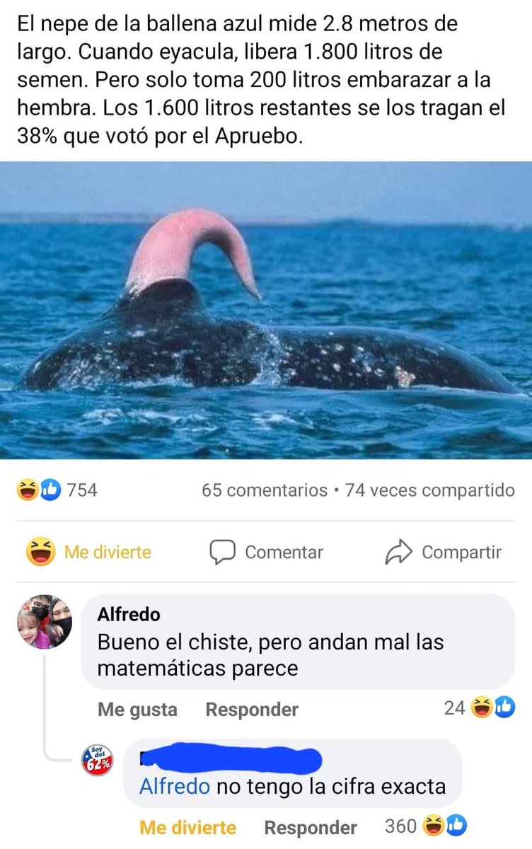 Lo siento, probablemente ya ha habido suficientes memes de ballenas aquí :  r/gojira, image size:752x1200