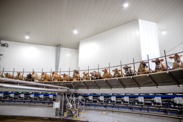 DeLavalCanada's tweet photo. Bigger. Better. Faster. Stronger. The DeLaval E500 rotary is here. #MilkFaster with better #CowFlow. https://t.co/X3F8wH5pv6 https://t.co/5dfND656Ue