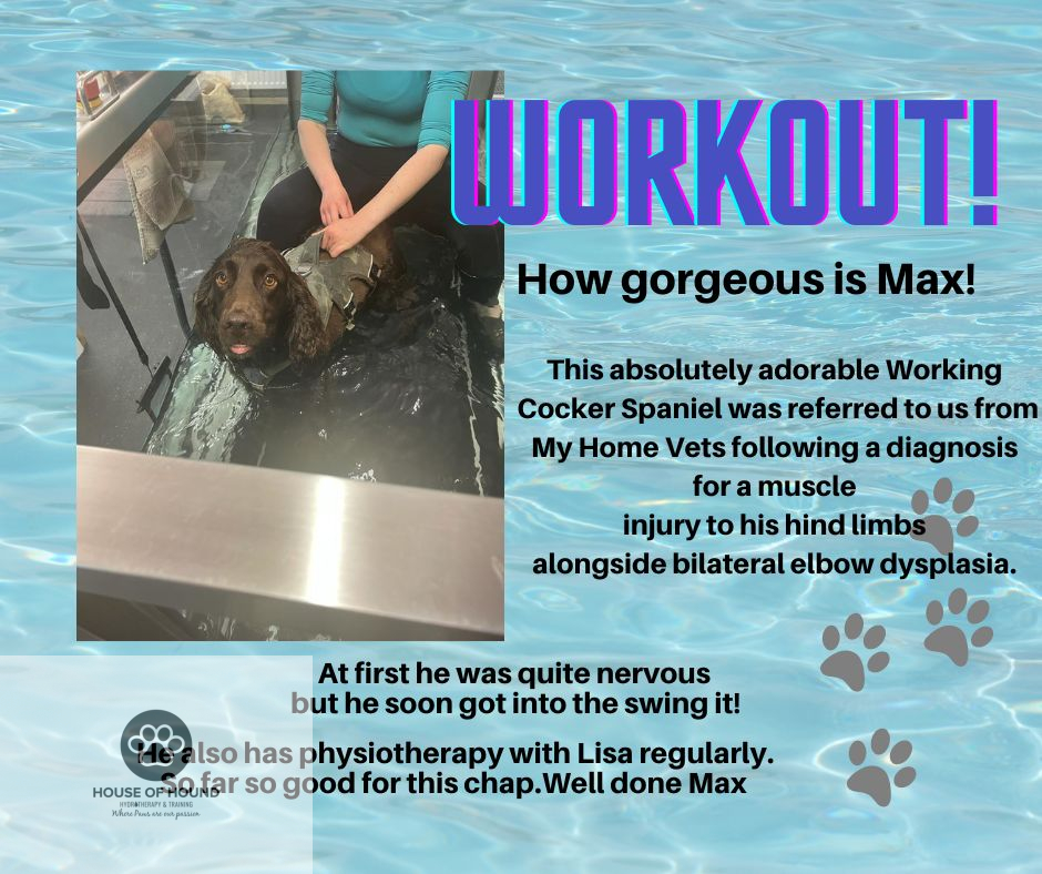 hh_hydro's tweet photo. Lets workout Max! https://t.co/7YEQIJ5mYP