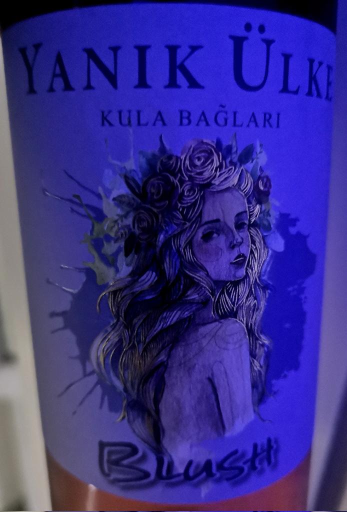 For sure, best label that I ever seen... 

#winelover, #winelovers, #winetasting, #art, #yanikukle, #minevino