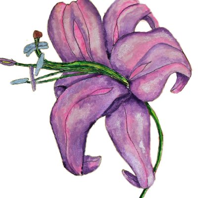 dbDauer's tweet image. #NewProfilePic