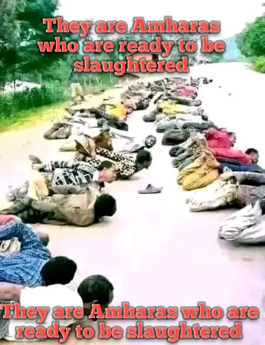 uc4UBoYhjrpTL9B's tweet photo. @SelinaFano @UNHumanRights @MikeHammerUSA #stopamhragenocide #StopWarOnAmhara
#AmharaUnderAttack
@BBCAfrica @nu @UnaHealy https://t.co/nX2jh0fABD