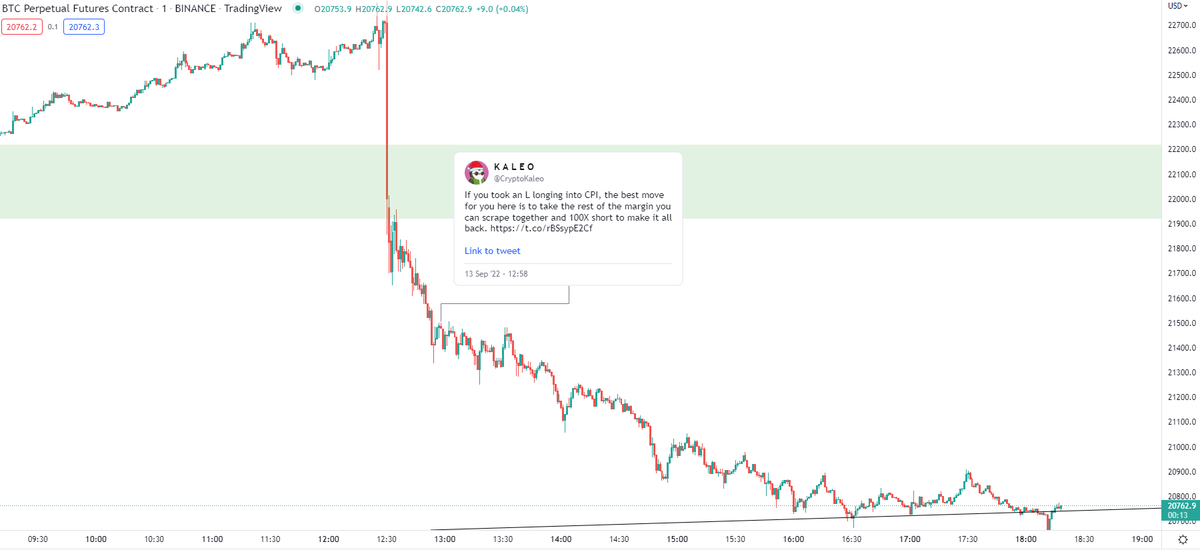 K A L E O tweet media