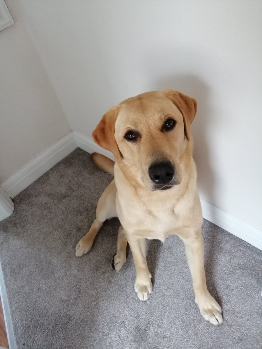 Lisa Rees-Jones♉ tweet media