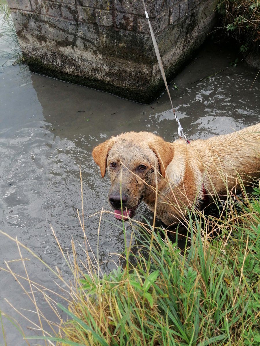 Lisa Rees-Jones♉ tweet media