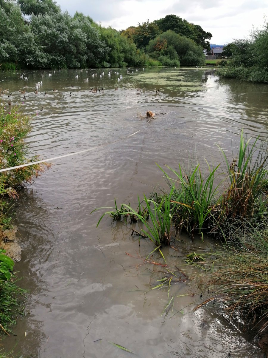 Lisa Rees-Jones♉ tweet media