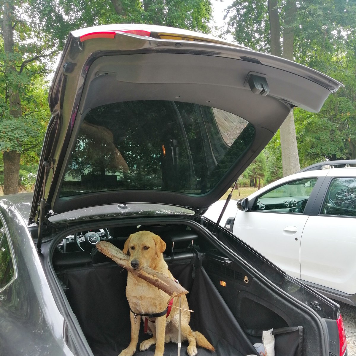 Lisa Rees-Jones♉ tweet media