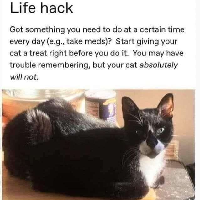 Beazy's short-haired look alike.