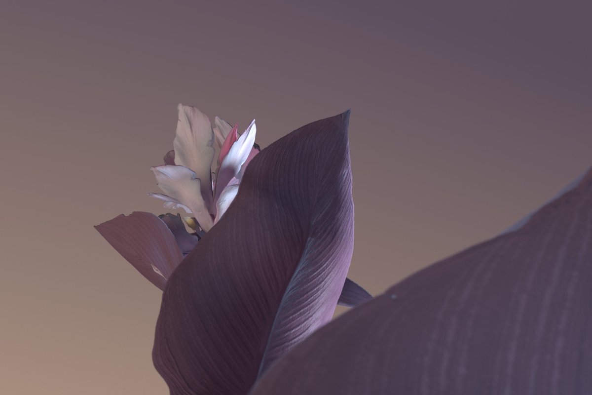 Ezequiel Pini (Six N. Five) tweet media