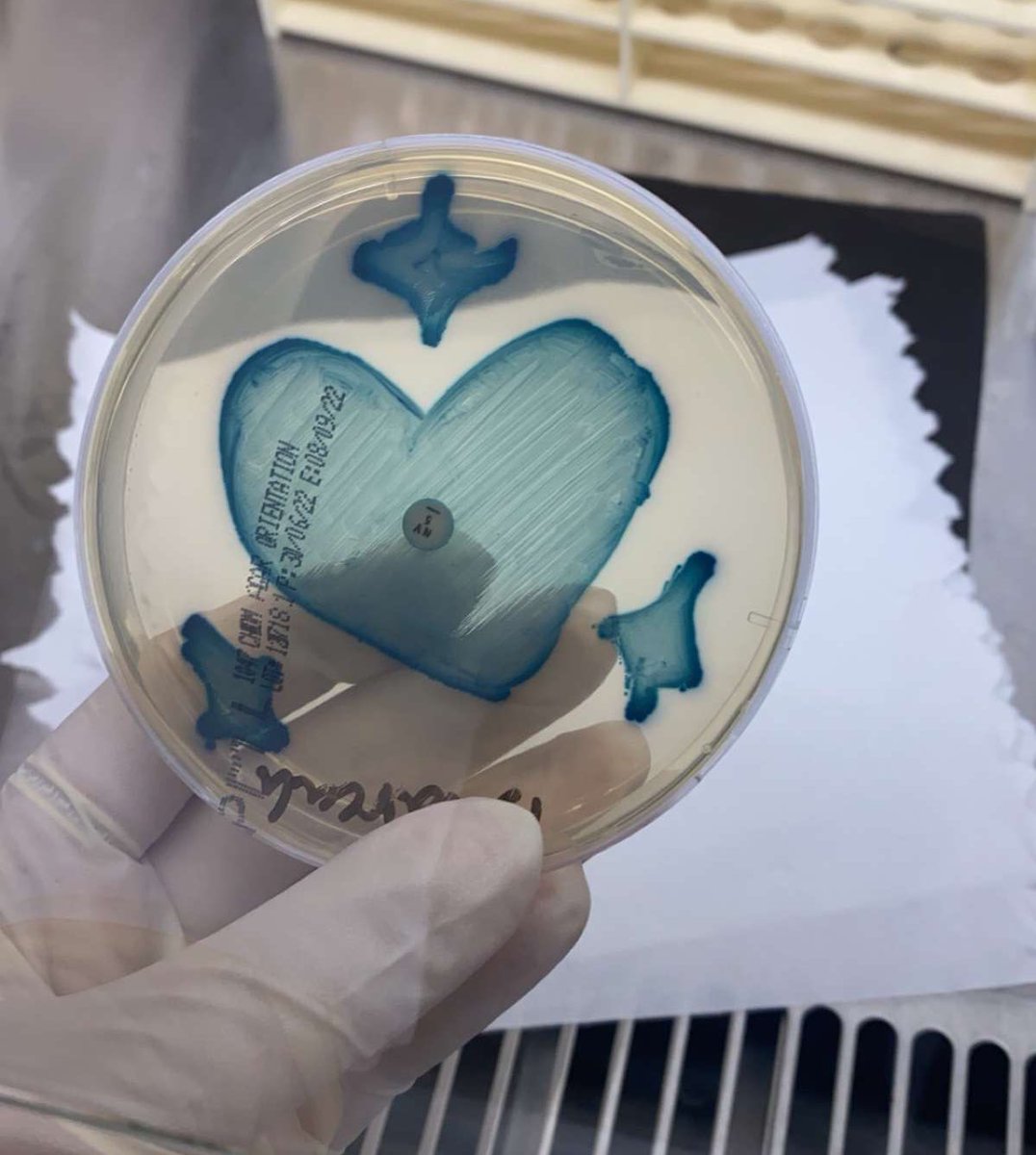 Sebs_Med's tweet photo. بعيدًا عن الفن البيولوجي 💙😍
.
مين يعرف الحلوة هاذي مين !!!؟؟؟ 
ولا اعطي تلميحات ؟ 🤓 https://t.co/eU8BzUTYB6