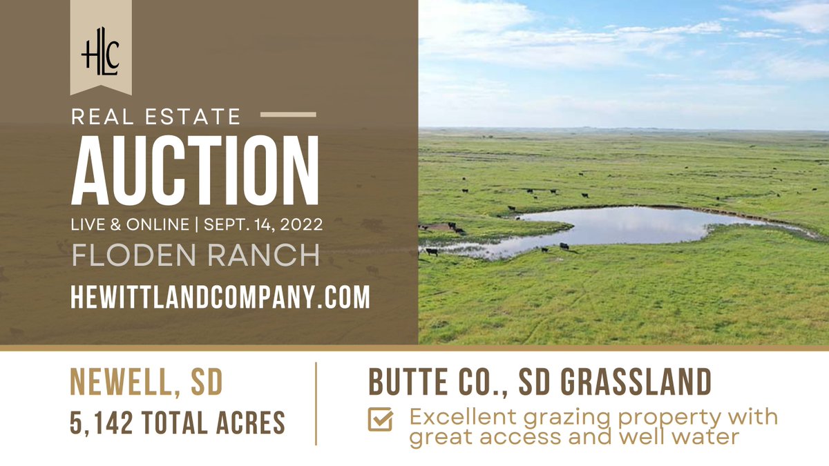 HewittLandCo's tweet photo. Join us tomorrow for this excellent South Dakota ranch land auction! https://t.co/LKX9BASCZI 

#LiveandOnlineAuction #HewittLandCompany #LandforSale #HLCAuctions https://t.co/0FPyjeArsp