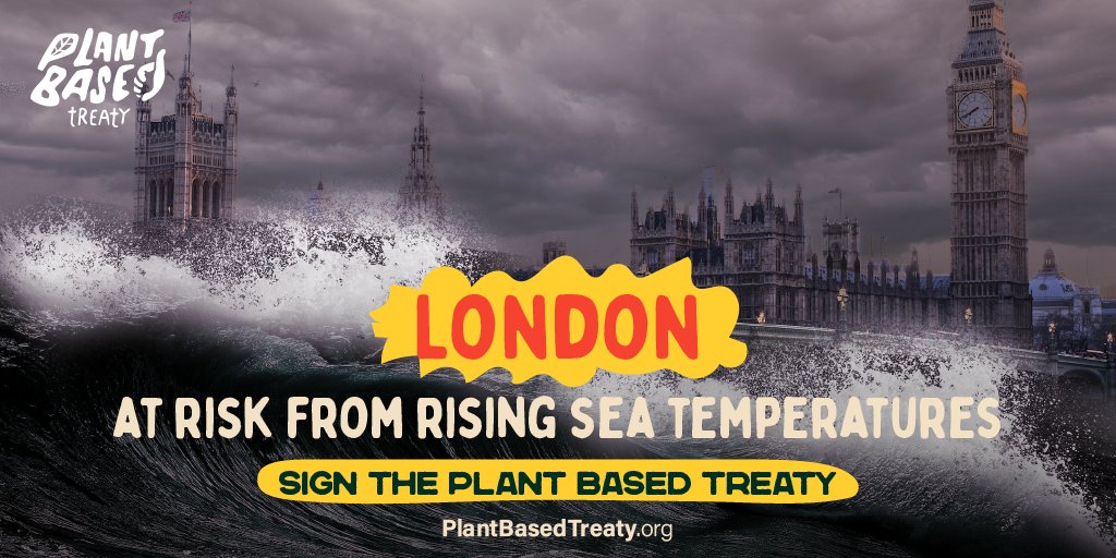 Toronto Chicken Save tweet media