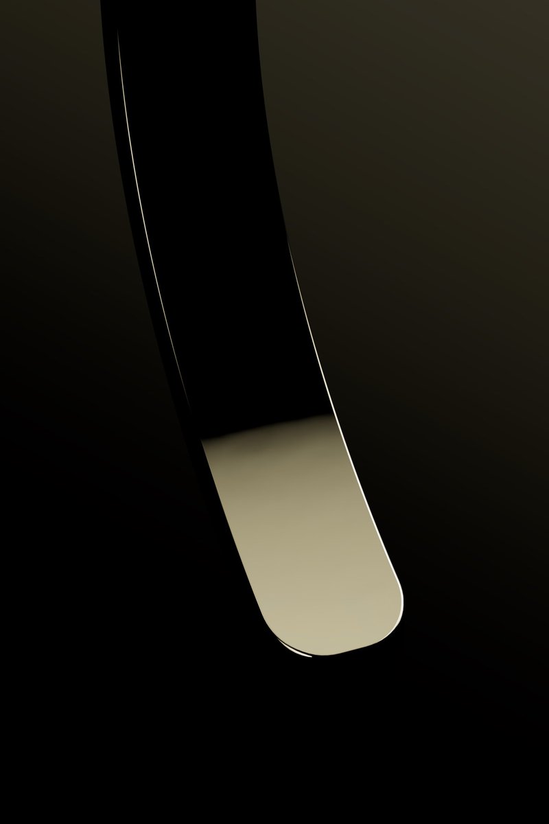 Some work slices, recent jewlery shots

#cgi #3d #jewlery #reflection #digitalnature