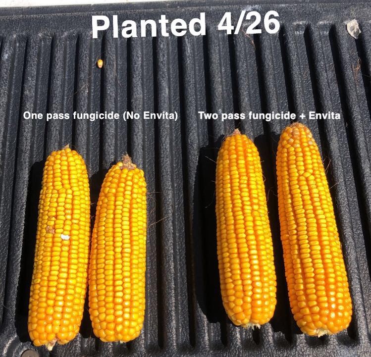 DronesAndFarmin's tweet photo. Nice little comparison. Envita was applied at V4 and first pass fungicide was applied at VT using a drone. Crops are looking pretty good here around Athens, can't wait to see those yields! #Envita #MiravisNeo #harvest2022 https://t.co/vXEvXj8OAP