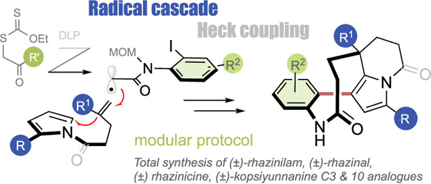 JOC_OL's tweet photo. EIC-selected Hot Article in #OL: A Modular Synthesis of the Rhazinilam Family of Alkaloids and Analogs Thereof. Please have a look: https://t.co/Zg4iM13QTM https://t.co/JdGUM4vGNI