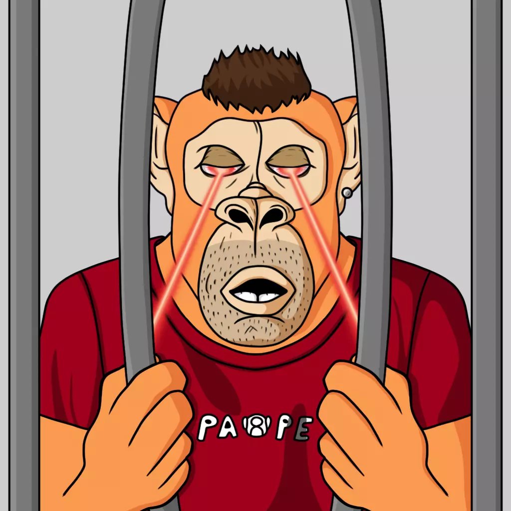 We protest the imprisonment of animals in zoos and donate 20 percent of the money we earn to the animal rights association! 

We want to see all animal rights defenders among us!

#AnimalRights #algofam #freeape