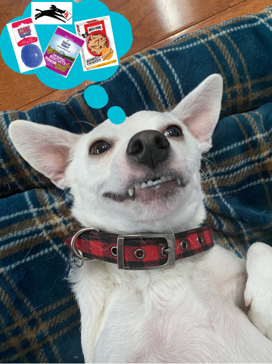 PetCareRx tweet media