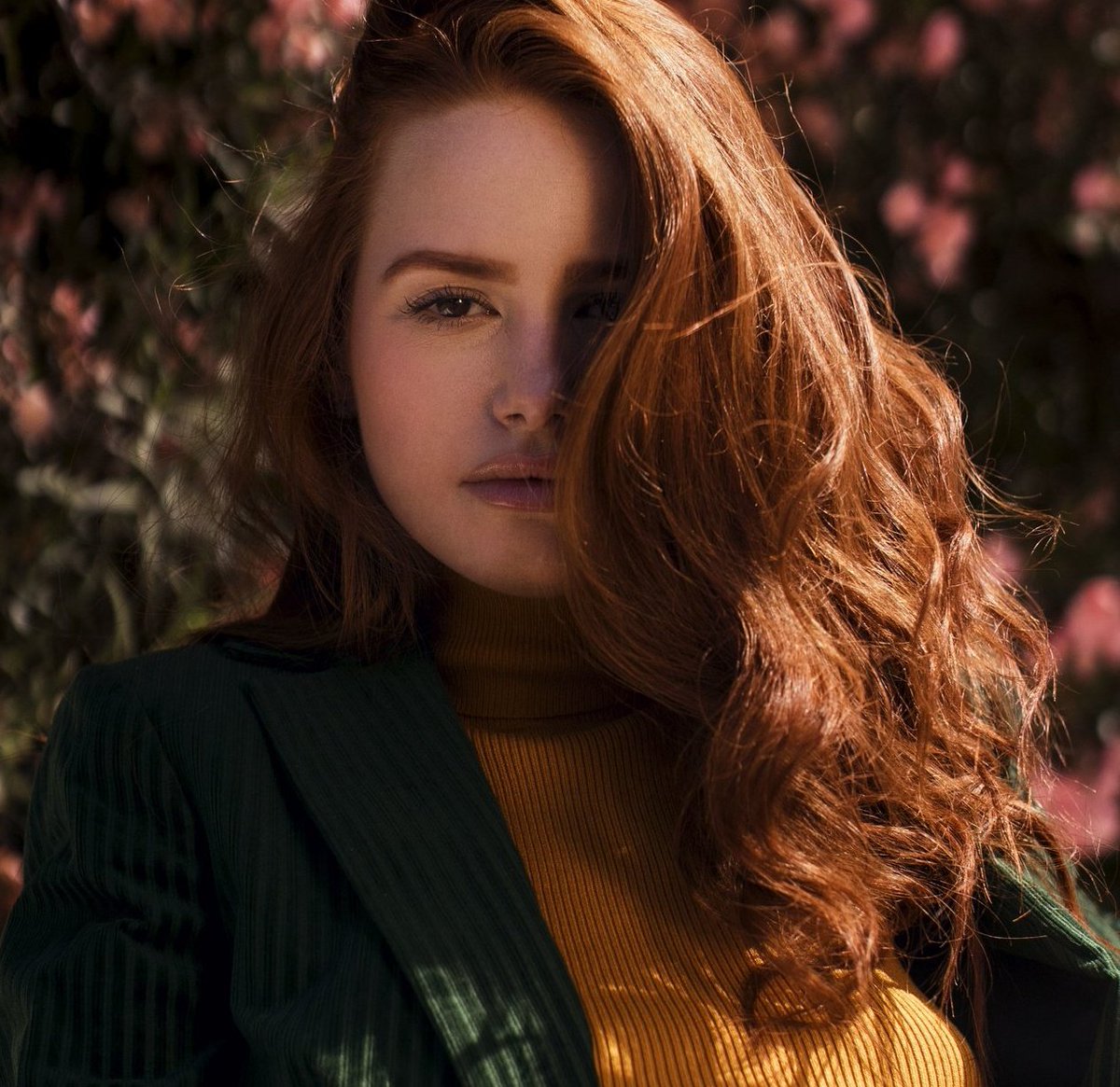 Film Updates on Twitter: \