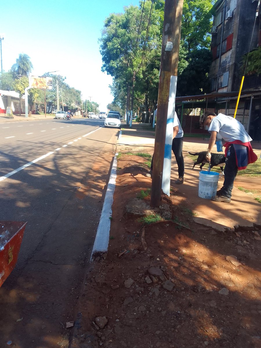 LauraLe08117108's tweet photo. Hoy limpieza en un sector ...manteniendo nuestro barrio  
#CUADRILLA138 https://t.co/t8W1FK8CKg
