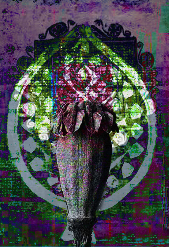 objkt.com/asset/hicetnun…

#painting #art #digitalart #NFTCommunity #NFTdrop #nftcollector #NFTartist #NFTProject #tezos #tezosart #hicetnuncart #saharlellahi #objkt #teiaart #rarible #colorful #NFTshill #NFT_Shill #artist