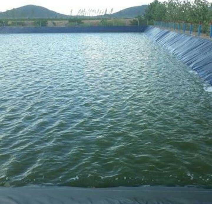 Midza4545's tweet photo. #🤔Think of Being a life time Supplier of Nutrition.
#🤔Think of Feeding the Future
#🤔Think of caring of others,think of me,think of your neighbour,think of Zimbabwe, think of the world
#🤔Heath and lives of the Current World Lies in you Fish 🐟Farmers
#🤔 Find solutions https://t.co/KITDCAxo8H