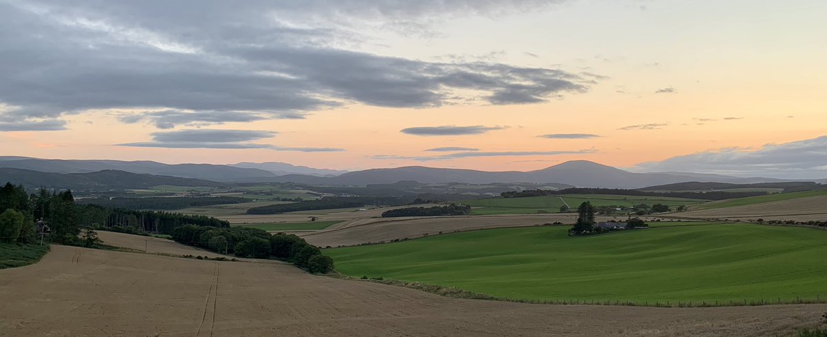 Jim Savege tweet media