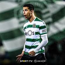 @Cristiano @Cristiano 💚Sporting Lisbon
Perfect signing @ChampionsLeague 
#RonaldoSportingSignJanuary 
💡⚽️💡✅ 
