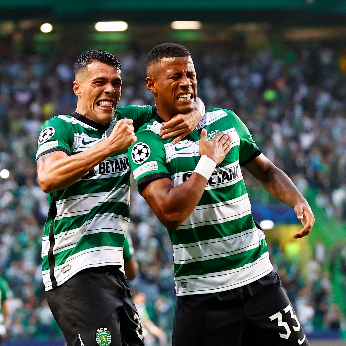 ChampionsLeague's tweet image. Sporting CP 𝗦𝗖𝗘𝗡𝗘𝗦 💚

👏 Back-to-back wins to begin a #UCL group stage for the first time