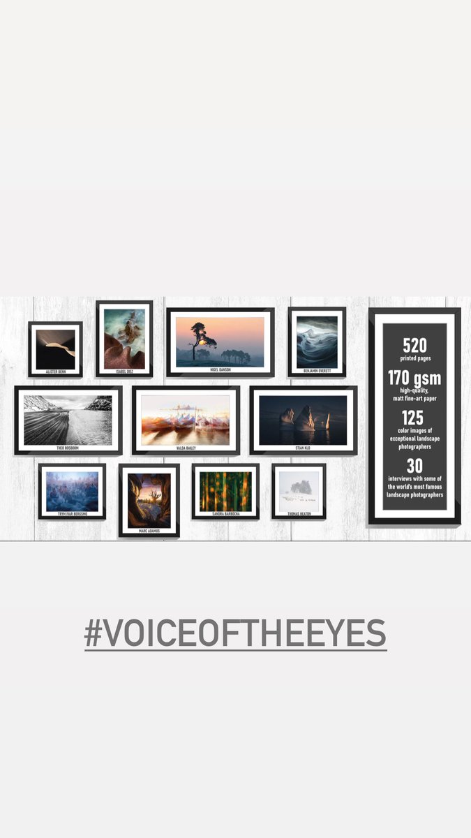 Some specs about the book #VoiceOfTheEyes 
Preorder: voiceoftheeyes.com