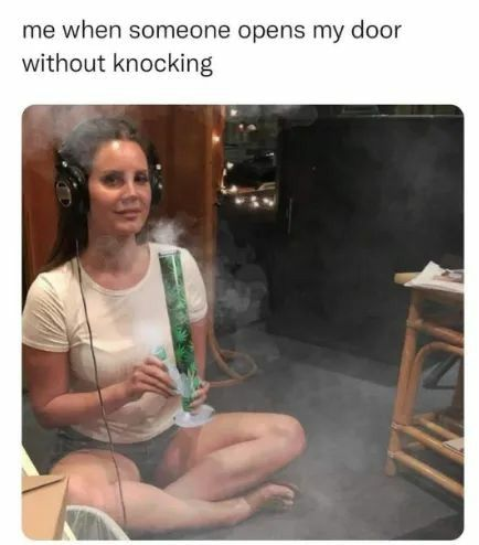 Dangkst tweet media