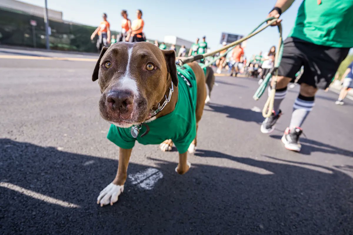 Homeboy Industries tweet media