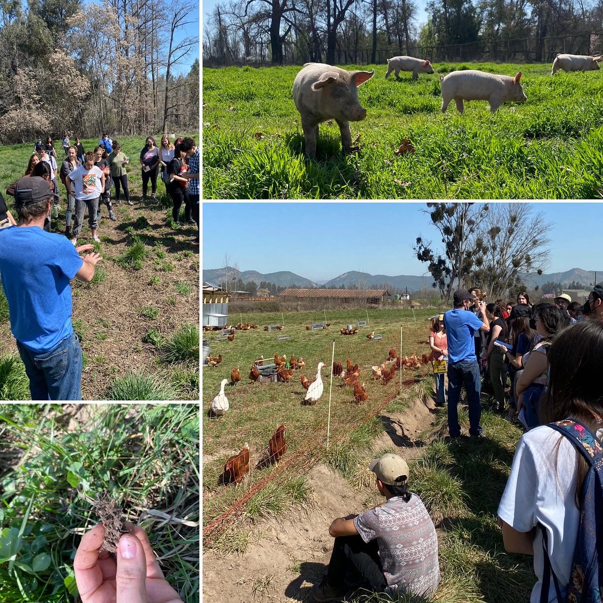 Desarrollo Sustentable UC tweet media