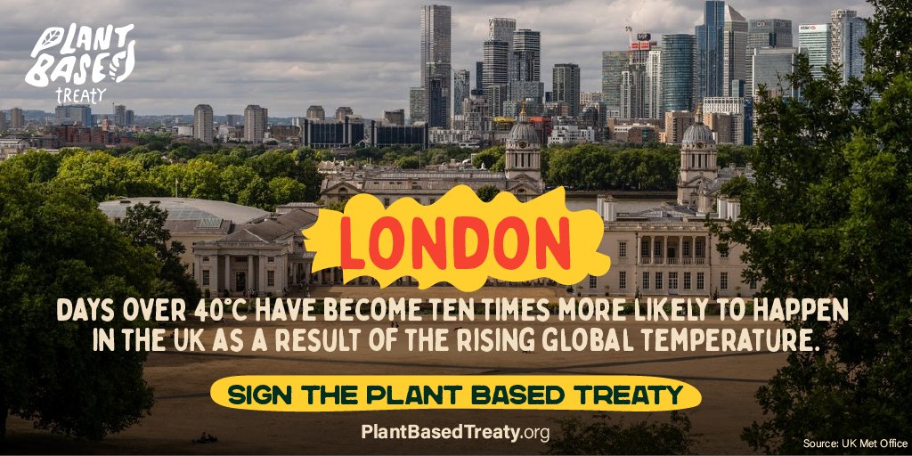 Toronto Chicken Save tweet media