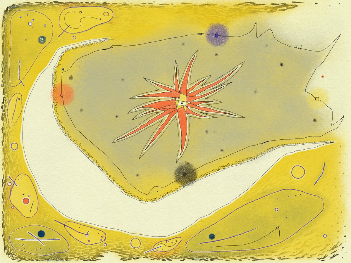 「"starfish among shoals" and "cat looking」|omentejovemのイラスト