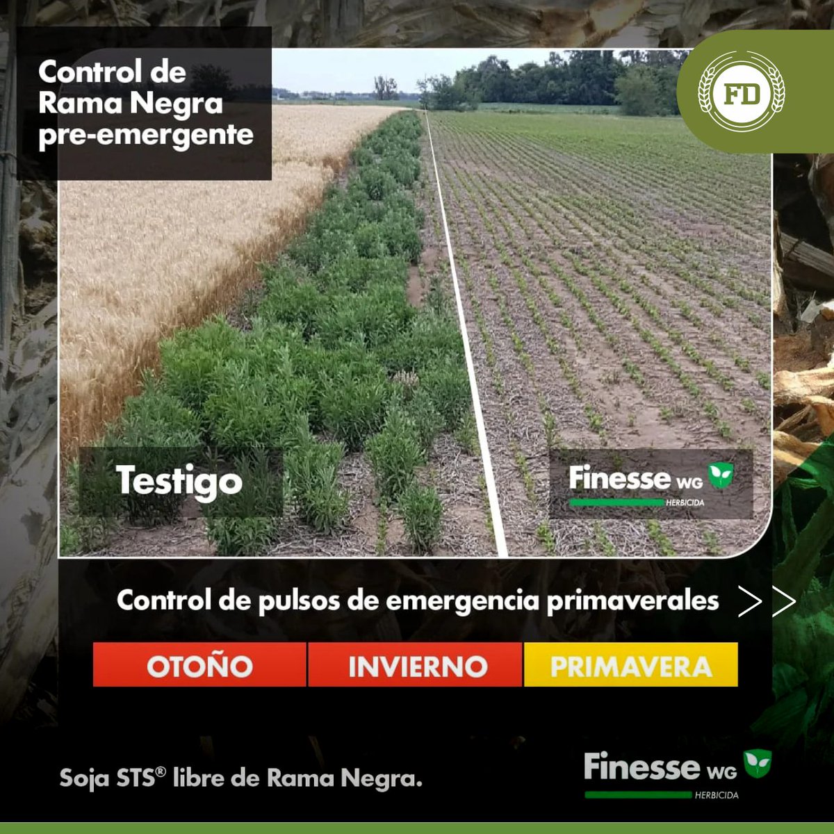 FDagrosrl tweet picture
