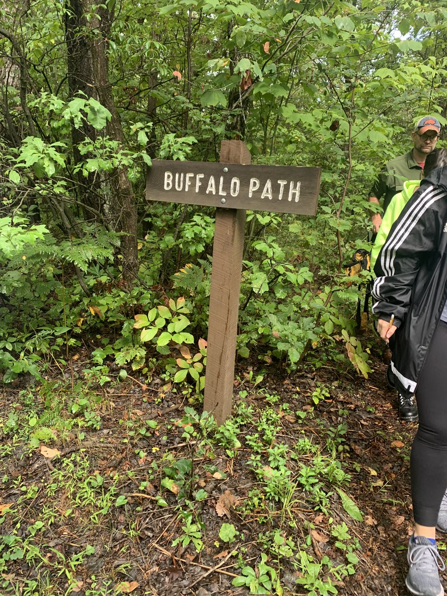 Val LaMore tweet media