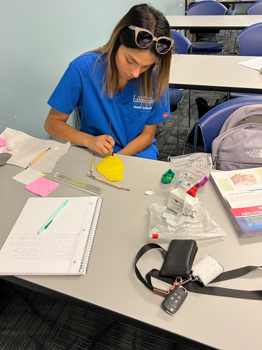 CBAdvancement's tweet photo. Mrs. Pettit’s Medical Terminology and A/P class is working hard again today! Students are learning about the integumentary system! #CAP #SHOWUP #PlusOnePathways @VickieMurillo https://t.co/E2Tegty6Yc