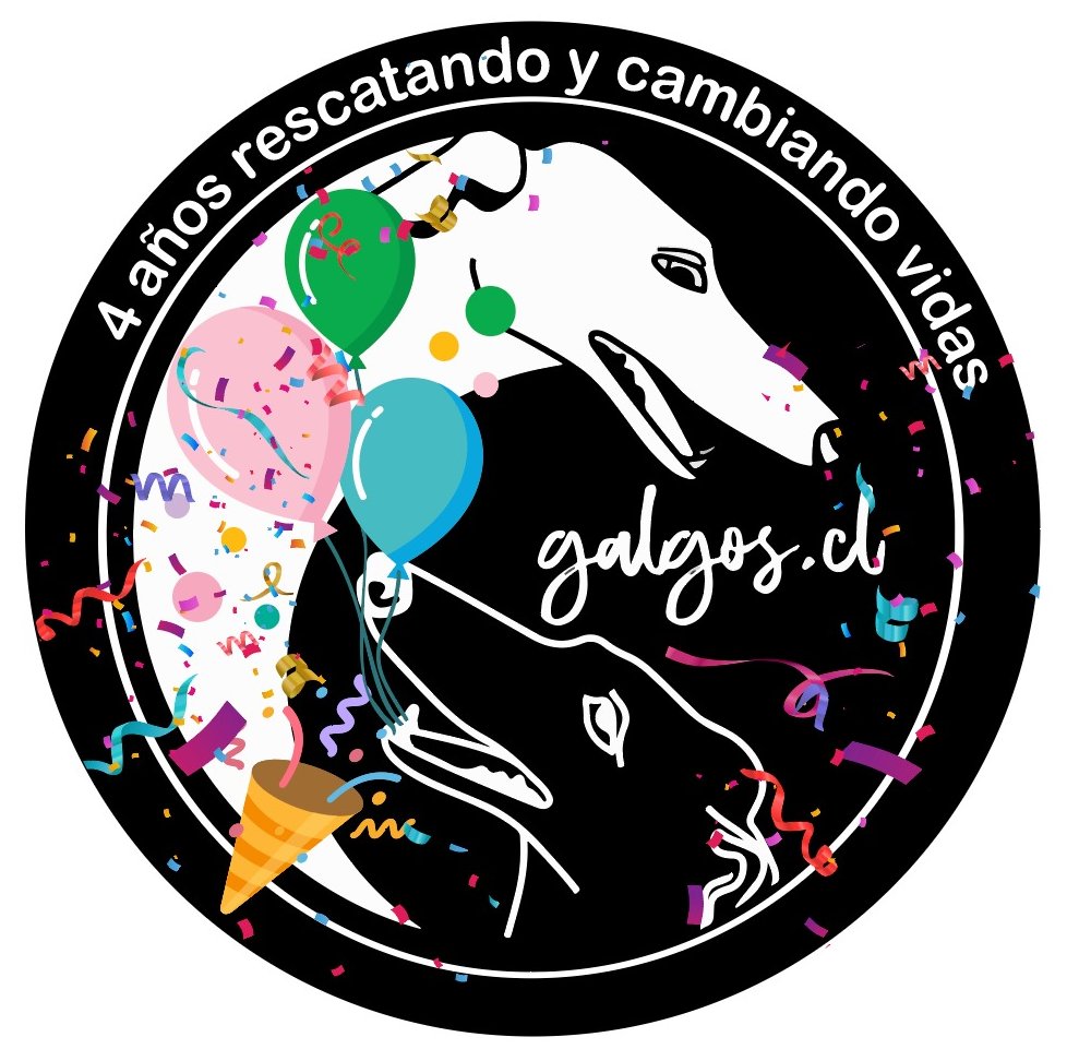 galgoschile's tweet photo. 1/4 🥳El domingo 11 de septiembre estuvimos de aniversario
Son 4 añitos desde que comenzó esta hermosa aventura y gracias a ustedes es que seguimos salvando vidas🙌🏼
GRACIAS al cariño de toda la gente, de los voluntarios, de todos los hogares temporales, de todos los que aportan🥰 https://t.co/tkM74gvwrc