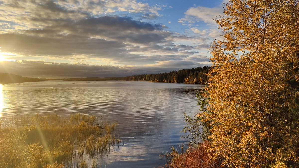 Fall 🍂🍁 #posio #posiolapland #lapland #finland #fall #autumn