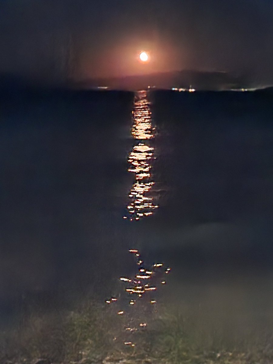 CDCoaching & Development tweet media