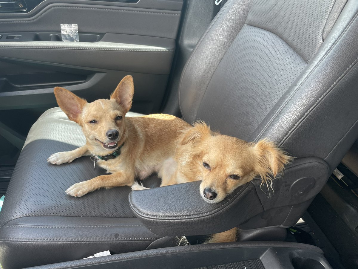 Many Orono tweet media