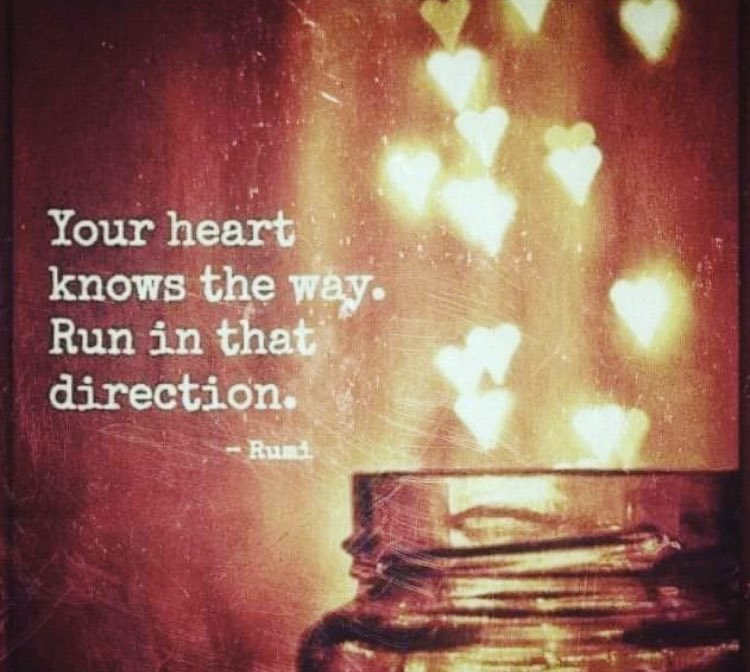 findinmyway2luv's tweet photo. ❤️ https://t.co/azlnhCilhq