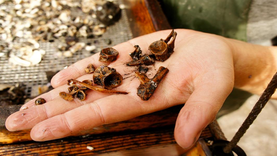 Dr Katherine Woo (@archaeo_woo) on Twitter photo Interested in archaeology and the ecological legacies of Indigenous Peoples on the Pacific NW Coast? Then join us at the <a href="/cabahCoE/">CABAH</a> / TARL seminar this week where @IainMcKechnie will be presenting on the topic! More info here:jcu.edu.au/tarl/seminars
#Archaeology <a href="/jcuCASE/">JCU College of Arts, Society and Education</a> Interested in archaeology and the ecological legacies of Indigenous Peoples on the Pacific NW Coast? Then join us at the <a href="/cabahCoE/">CABAH</a> / TARL seminar this week where @IainMcKechnie will be presenting on the topic! More info here:jcu.edu.au/tarl/seminars
#Archaeology <a href="/jcuCASE/">JCU College of Arts, Society and Education</a>