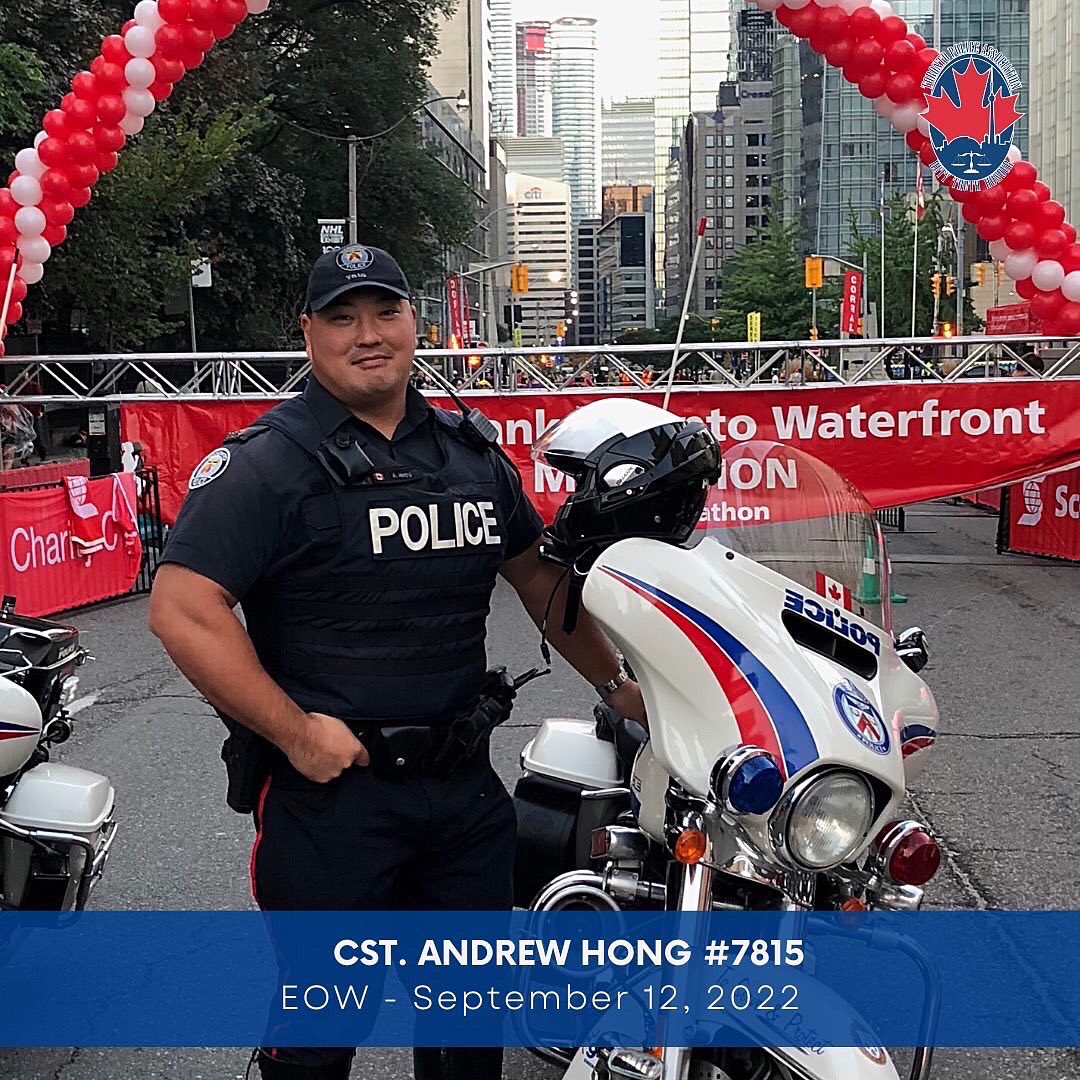 Brian Callanan tweet media